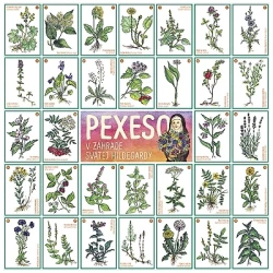 Pexeso - V záhrade svätej Hildegardy