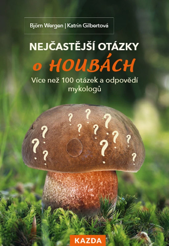 Nejčastější otázky o houbách